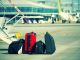 Багаж у трапа самолета. Фото: avia2.ru