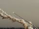 Ракета, выпущенная из сектора Газа по Израилю. Фото: Mohammed Saber / EPA / Scanpix / LETA