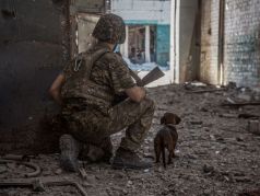 Украинский военный с щенком осматривает местность в промышленной части Северодонецка, 20 июня 2022 года. Фото: Oleksandr Ratushniak / Reuters